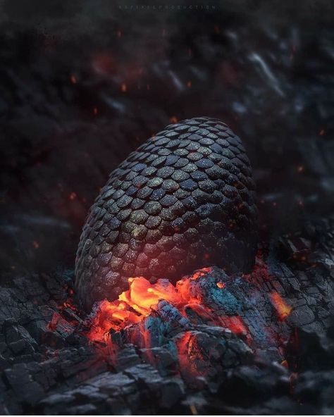 Got Dragon Eggs, World Of Ice And Fire, Daena Targaryen, A Game Of Thrones, Game Of Thrones Dragons, Got Dragons, Targaryen Art, Dragon Artwork Fantasy, Targaryen Aesthetic