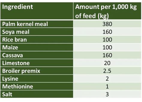 Coping with feed costs in Nigeria | The Pig Site Pig Feed, Black Soldier Fly, Livestock Feed, Fish Feed, Pig Farming, Fish Farming, Business Growth, How Can, Farmer