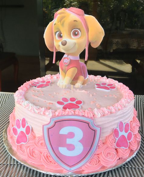 Skye 3rd Birthday, Skye Birthday Cake Paw Patrol, Sky Birthday Party Paw Patrol Cake, Paw Patrol Birthday Ideas Girl, Sky Patrol Cake, Girly Paw Patrol Cake, Paw Patrol Cake Girly Sky, Paw Patrol Birthday Cake Skye, Paw Patrol Cake Girly Simple