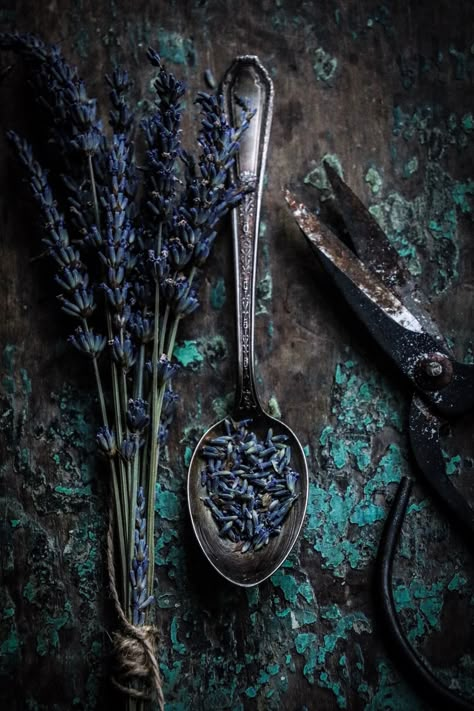 Moody Lavender Aesthetic, Witchy Product Photography, Herb Aesthetic, Herbal Background, Herbs Aesthetic, Herbalist Aesthetic, Lavender Harvest, Lavender Photography, Green Witch Aesthetic