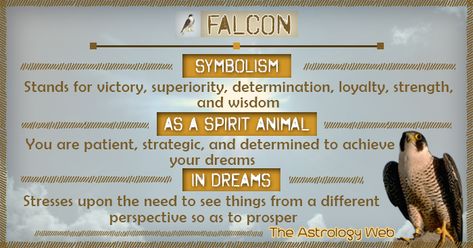 Falcon Meaning and Symbolism | The Astrology Web Falcon Meaning, Hummingbird Meaning, Animal Totem Spirit Guides, Spirit Animal Meaning, Animal Meanings, Spirit Animal Totem, Animal Spirit Guide, Totem Animal, Spiritual Animal