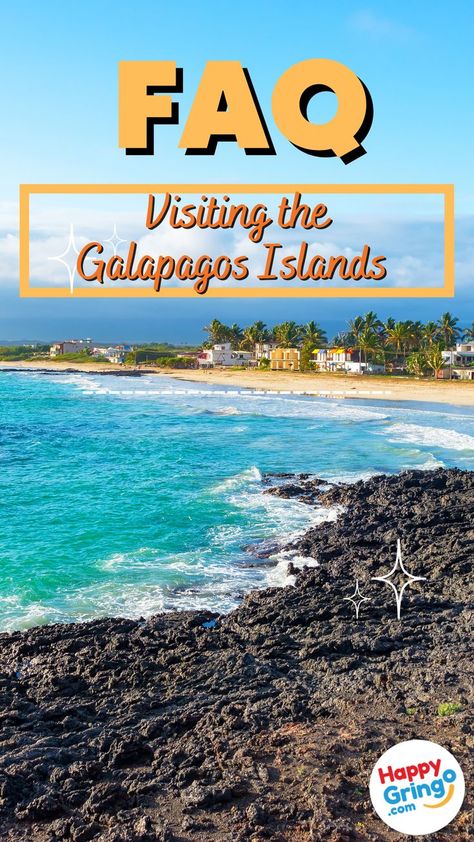 Galapos Islands, Galapagos Islands Travel, Cruise Boat, Invasive Species, Galapagos Islands, Pacific Coast, Archipelago, Ecuador, Amazing Destinations