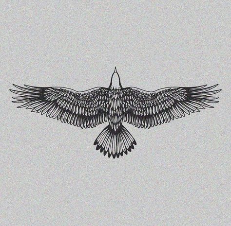 Bird Spreading Wings Tattoo, Crane Flying Tattoo, Sternum Bird Tattoo, Cactus Wren Tattoo, Outlaw Tattoo For Women, Forearm Bird Tattoo, Mens Traditional Tattoos, Eagle Wings Tattoo, Jacks Tattoo