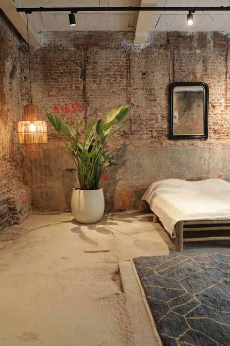 Exposed Brick And Plaster Wall, Brick Studio Apartment Ideas, Apartment Decor Brick Wall, Brick Walls Bedroom, Red Brick Bedroom, Concrete Wall Interior Design, Room With Brick Wall, Exposed Brick Accent Wall, Concrete Walls Interior