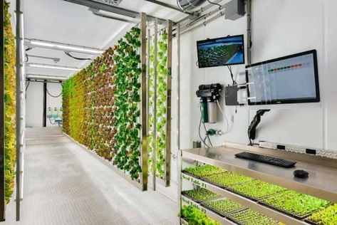 Ultimate Guide to Shipping Container Farms Container Farming, Mushroom Farm, Vertical Farm, Emerging Technologies, Indoor Farming, Farming System, Studio Tattoo, Shipping Container House Plans, Hydroponic Growing