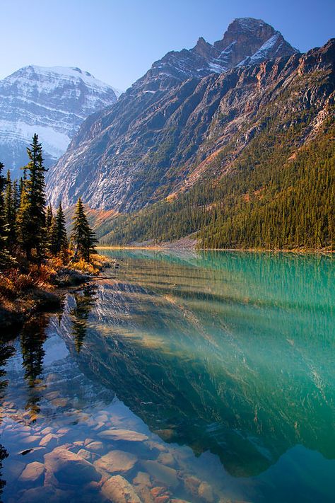 https://flic.kr/p/4kp3PU | C6CT8792 | Mt. Edith Cavell and Cavell Lake, Jasper National Park, Alberta, Canada.  Thanks,  Ron Niebrugge Niebrugge Images - stock photos  My Photo Blog Jasper National Park Canada, Jasper Alberta, Icefields Parkway, Mountain Goats, Amazing Scenery, Canada National Parks, Jasper National Park, Parks Canada, Alberta Canada