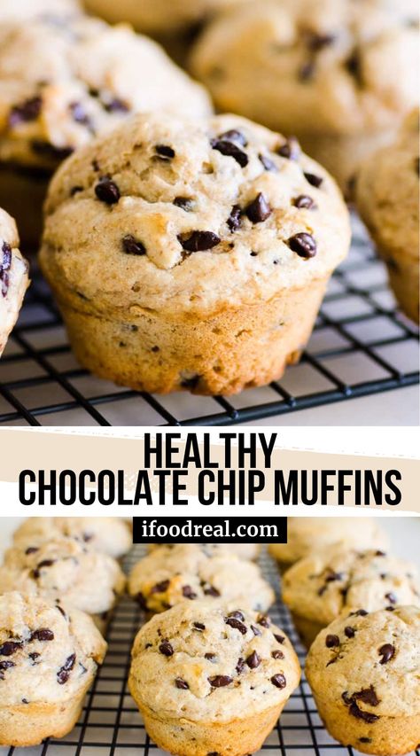 Healthy Chocolate Chip Muffins recipe made with whole wheat flour, no refined sugar and Greek yogurt are healthy bakery style muffins with lots of mini chocolate chips. Heart Healthy Muffins Clean Eating, Chocolate Chip Muffins Easy Healthy, Chocolate Chip Muffins With Yogurt, No Sugar Muffins For Kids, Whole Wheat Mini Muffins, Healthy Muffins Recipes Easy, Muffins With Greek Yogurt Healthy, High Fiber Chocolate Chip Muffins, Mini Chocolate Chip Muffins Healthy