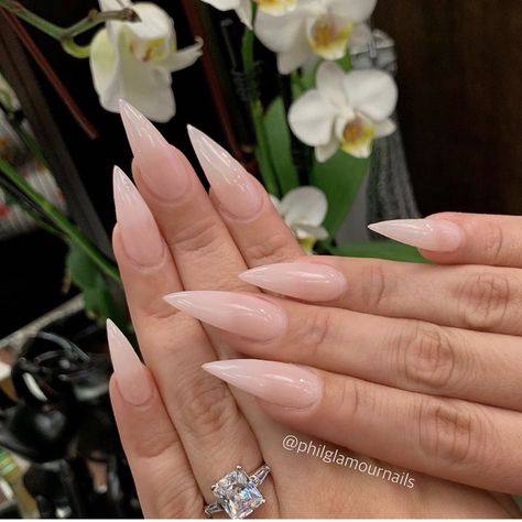 Rounded Stilleto Nails Long, Soft Stilleto Nails Shape, Milky Pink Stiletto Nails, French Ombre Nails Stilettos, Bubble Bath Stilleto Nails, Natural Stilleto Nail, Elegant Nails Stiletto, Medium Stelito Nails, Nude Pink Stiletto Nails