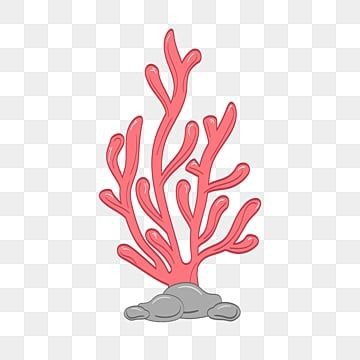 Coral Cartoon, Coral Vector, Coral Clipart, Ocean Vector, Cartoon Coral, Coral Drawing, Ocean Clipart, Coral Draw, Pink Png