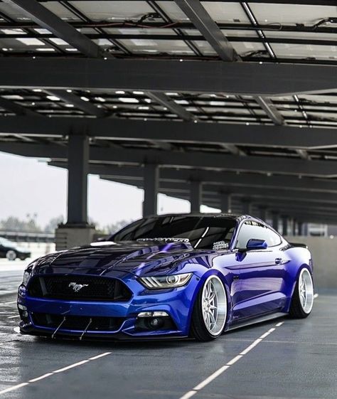 If you're focused enough, those gut feelings will serve as a valuable guide for you.#ford #mustang #fordmustang Fort Mustang, Mustang Blue, Mustang 2008, Car Obsession, 1970 Chevelle Ss, Gut Feelings, Blue Mustang, 1970 Chevelle, Car Memes