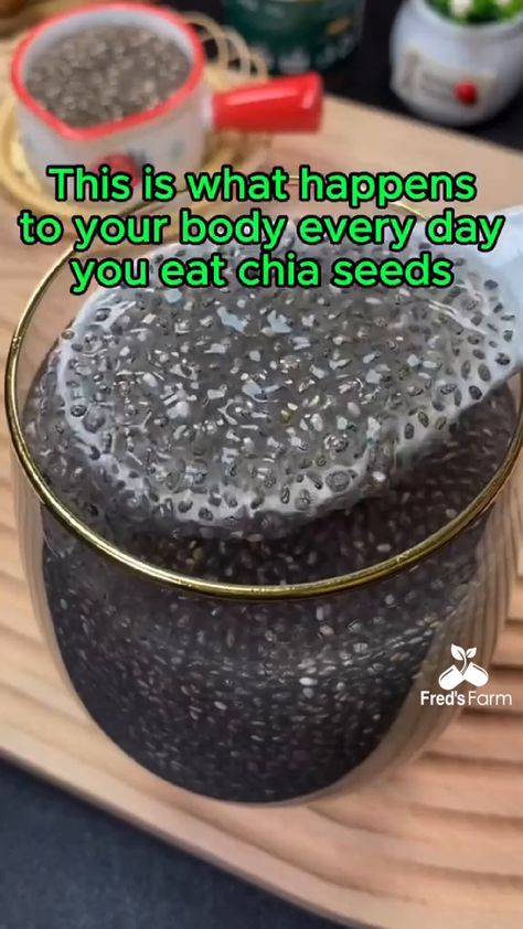 Fred’s Farm | Herbs (@FredDiBiase247) on X Chia Seed Health Benefits, Women Health Vitamins, Chia Pudding Recipes Healthy, Benefits Of Chia Seeds, Benefits Of Chia, Chia Seed Drinks, Chia Benefits, Seeds Benefits, Tea Drink Recipes