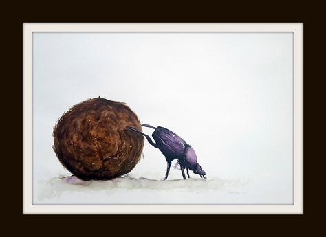 Dung Beetle Drawing, Dung Beetle Illustration, Dung Beetle Tattoo, Brown Beetle, Beetle Drawing, Beetle Illustration, Bug Design, English Lab, Dung Beetle