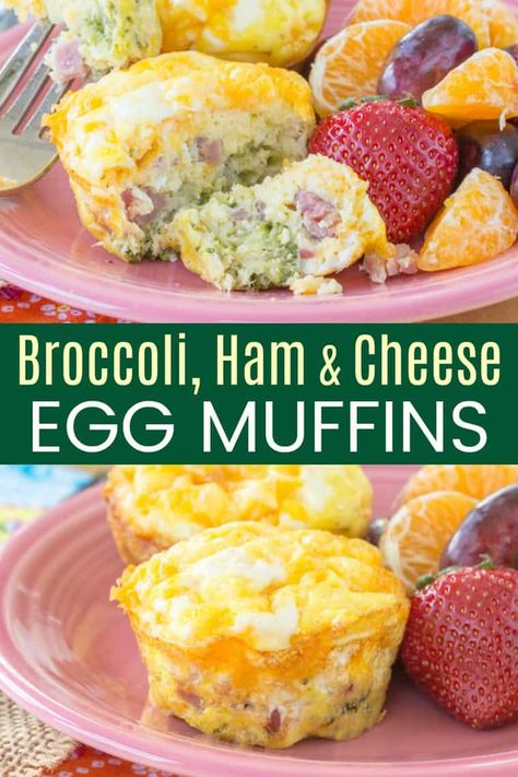 Broccoli, Ham and Cheese Egg Muffin Cups - this easy breakfast recipe is delicious right out of the oven, or store them in the freezer for busy mornings. You can even change it to use your favorite vegetables, meat, and cheese with the eggs. And they are gluten free and keto-friendly! Egg Broccoli Cheese Muffins, Ham And Cheese Egg Muffins, Muffin Cups Recipes, Emily Bites, Egg Muffin Cups, Egg And Grapefruit Diet, Cheap Keto, Easy Breakfast Recipe, Egg Diet Plan