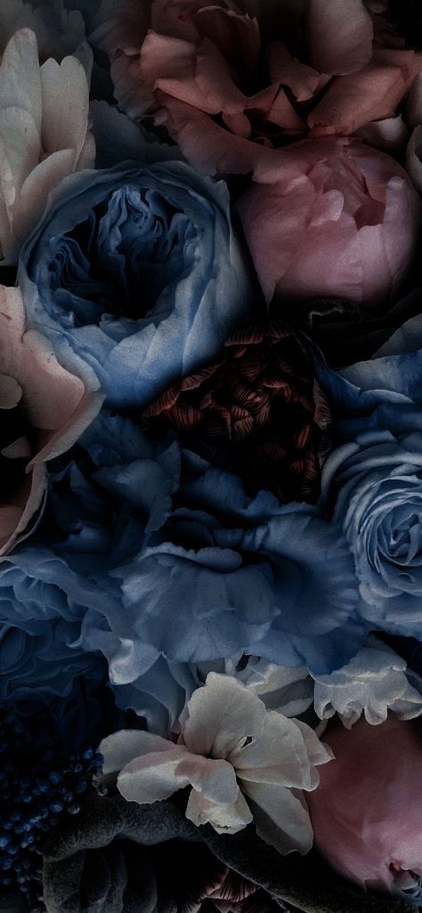 Blue Peonies Aesthetic, Pink Blue And Black Aesthetic, Deep Blue Wallpaper Aesthetic, Moody Blue Aesthetic, Dark Blue Pink Aesthetic, Peony Wallpaper Aesthetic, Dark Blue And Pink Wallpaper, Navy And Pink Wallpaper, Navy Blue And Pink Aesthetic