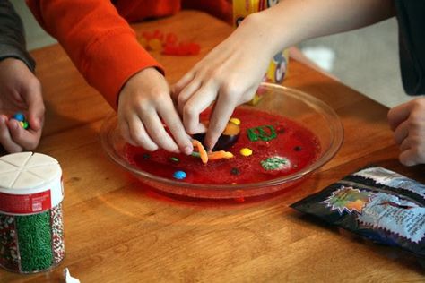 Cell Diagram Project Models, Cell Diagram Project, 3d Cell Project, Edible Animal Cell, Edible Cell Project, Animal Cell Model, Edible Cell, Plant Cell Project, Cell Model Project