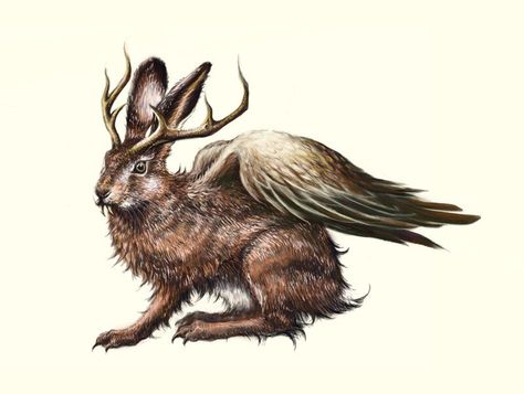 Jack Rabbit Illustration, Wolpertinger Art, Jackalope Humanoid, Jackalope Drawing Tattoo, Fantasy Rabbit Creature, Jackalope Anthro, Jackalope Plush, Snake Dragon, Circus Aesthetic