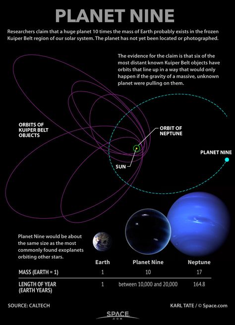 Scientists have found evidence of a true ninth planet in our solar system. Nicknamed "Planet Nine," the real-life Planet X appears to have the mass of 10 Earths and is 20 times farther from the sun than Neptune. Physics Mathematics, Planet Nine, Planet 9, Kuiper Belt, Astronomy Science, Space Facts, Science Physics, Space Astronomy, Space Universe