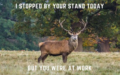 Laugh Out Loud With These Hilarious Hunting Memes of 2023 Deer Hunting Memes Humor, Funny Deer Hunting Quotes, Hunting Season Quotes, Funny Deer Pictures, Deer Hunting Memes, Deer Meme, Deer Hunting Quotes, Hunting Meme, Funny Hunting Pics