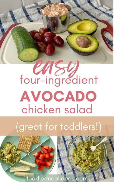 Savory Chicken Salad Recipe, Toddler Chicken Recipes, Chicken Avacado, Dairy Free Lunch, Toddler Meal Ideas, Can Chicken Recipes, Easy Toddler Meals, Avocado Chicken, Pre Cooked Chicken