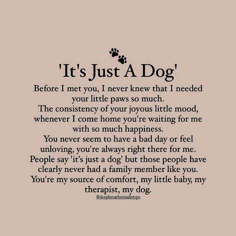 Dogs Know When Your Sick Quotes, We Still Talk About You Dog, When Your Dog Is Sick Quotes, Sick Pet Quotes Dogs, Sick Dog Quotes, Soul Dog Quotes, Pet Quotes Dog, Sick Quotes, Pet Quotes