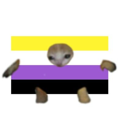 Nonbinary Art, Lgbtq Pfp, Non Binary Flag, Cursed Cat, Nonbinary Flag, Banana Cat, Gay Sticker, Lgbt Humor, Pride Stuff