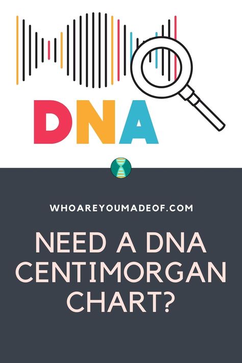 Genetic Genealogy, Family History Organization, Relationship Chart, Genealogy Help, Genealogy Chart, Dna Genealogy, Family Tree Chart, Family Tree Genealogy, Genealogy Resources