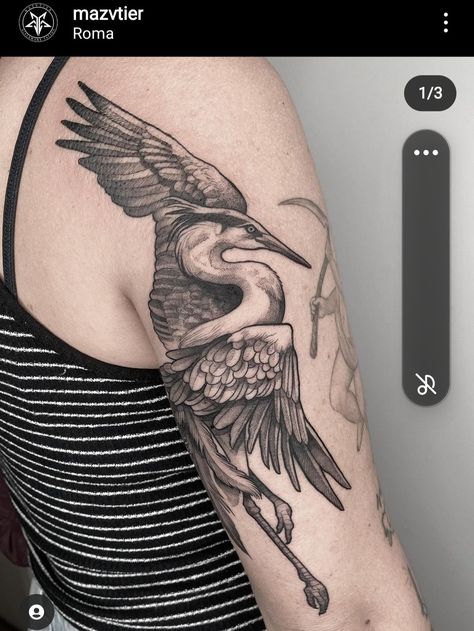 Albatross Tattoo, Blue Heron Tattoo, Crane Painting, Bird Tattoo Sleeves, Heron Tattoo, Pet Tattoos, Delicate Tattoos For Women, Tattoo Sleeve Filler, Earthy Tattoos