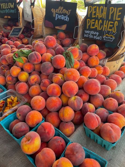 Peaches, Fruit, Farmer’s Market, Swap Meet, Produce, Fresh July Vision Board, Farmers Market Aesthetic, Beach Farmers Market, Everyday Is A Gift, Soothing Aesthetic, Seasons Changing, Market Aesthetic, Beach Market, Sunset Swim