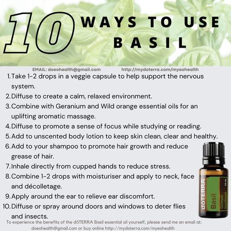 Basil Essential Oil Uses, Doterra Basil, Basil Essential Oil Benefits, Benefits Of Basil, Unscented Body Lotion, Essential Oils Properties, Wild Orange Essential Oil, Basil Essential Oil, Basil Oil