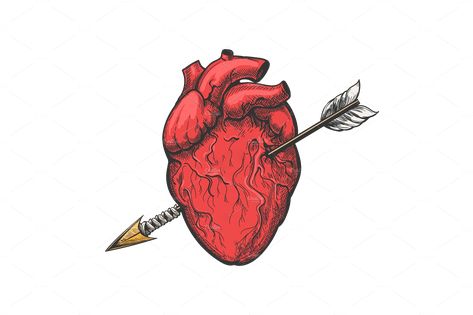 Heart With Arrow Drawing, Heart With Arrow Tattoo, Heart Arrow Tattoo, Hands Holding Heart, Love Heart Tattoo, Anatomical Heart Art, Twin Flame Art, Arrow Drawing, Heart Piercing