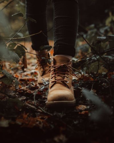 Autumn Photography Portrait, Fall Mood Board, Forest Photos, Adventure Aesthetic, C S Lewis, Never Too Old, Fall Feels, Shooting Photo, Autumn Cozy