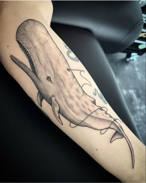 Black and gray sperm whale tattoo on arm Sperm Whale Tattoo, Sperm Whale Art, Narwhal Tattoo, Whale Shark Tattoo, Tattoos Illustration, Whale Tattoo, Octopus Tattoo Design, Whale Tattoos, Shark Tattoo