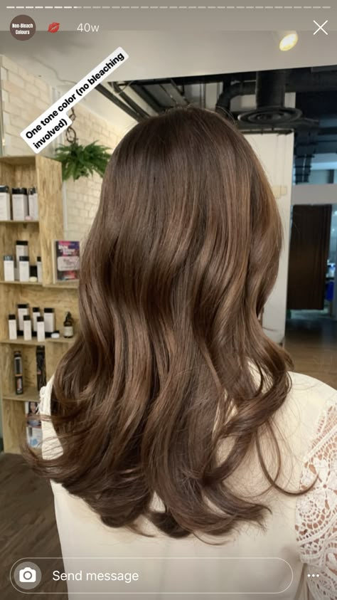 Light Brown Hair Neutral Skin, Honey Brown Hair Solid Color, Mykenna Dorn Hair, Latte Brunnet Hair, Soft Autumn Brown Hair, Latte Burnett Hair, Brown Hair Without Highlights, Creamy Brown Hair, Olive Hair Colour