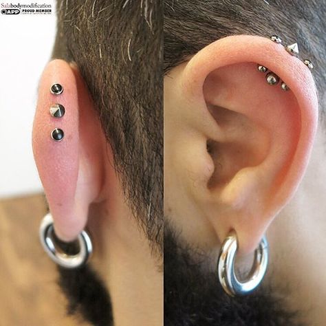 I am living for this triple vertical helix 😍 I'd like these with gold jewelry  #pinpoint #pinpointpiercing #industrialstrength #piercing #safepiercing #appmember #cabochon #onyx #titan#earpiercing Vertical Helix Piercing, Triple Helix Piercing, Triple Helix, Piercing Inspiration, Men's Piercings, Helix Piercings, Piercing Inspo, Helix Piercing, Large Ring