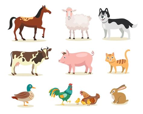 Farm Cartoon, Raising Cattle, Cartoon Birds, Line Art Design, Cartoon Background, Happy Animals, Flat Illustration, Funny Cartoons, Animal Illustration