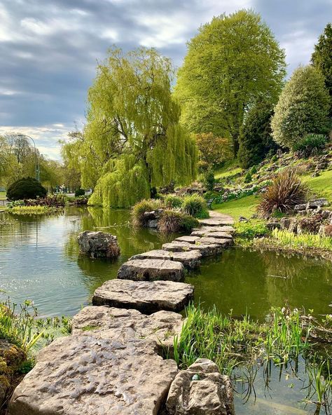 Acres Wild on Instagram: “Line of Beauty 💚 SWIPE LEFT 💚 If there is such a thing as a ‘line of beauty’ those stepping stones across the pond in the rock garden are…” Pond With Stepping Stones, English Garden Pond, Acres Wild, A Line Of Beauty, Country Gardens, Dream Family, English Country Gardens, Garden Pond, Wild Nature