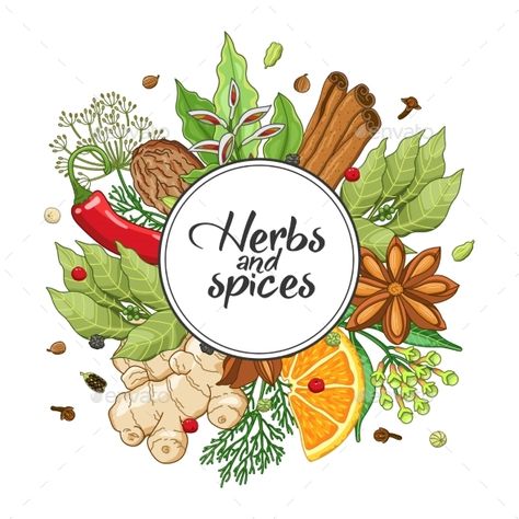 Spices and herbs jar labels. Colored vector condiment bakery set with cardamom, coriander, cinnamon, vanilla, poppy seed, sesame, Cooking Icon, Background Food, Pickle Recipe, Food Clipart, Food Logo Design, Spices And Herbs, Flower Background, Herbs And Spices, Logo Food