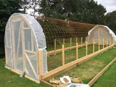 odla i tunnel Mini Greenhouse Diy, Greenhouse Room, Flower Tunnel, Serre Diy, Greenhouse Diy, Aquaponics Greenhouse, Tunnel Greenhouse, Aquaponics Diy, Aquaponic Gardening