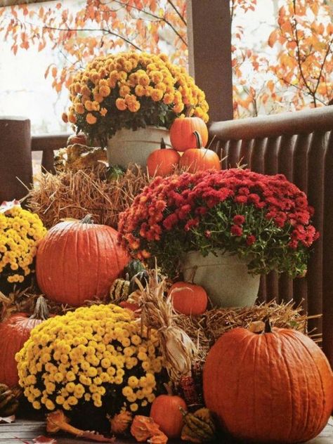 use as decoration, then give out as prizes at the end for adult contests (jack-o-lantern contest, cake contest, pie contest, chili contest, jam/jelly contest, quilt contest) Potted Mums, Outdoor Fall Decor Ideas, Pumpkins And Gourds, Fall Vignettes, Cozy Outdoor, Diy Halloween Projects, Fall Deco, Hay Bales, Autumn Decorating