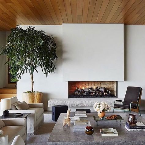 Joanna Lavén on Instagram: “Wishing you a great weekend with this cozy space, via @alexanderdesignbuild” Ficus Alii, Clements Design, Expensive Homes, Contemporary Fireplace, Planter Design, Live In Style, Expensive Houses, Celebrity Houses, Dream Spaces