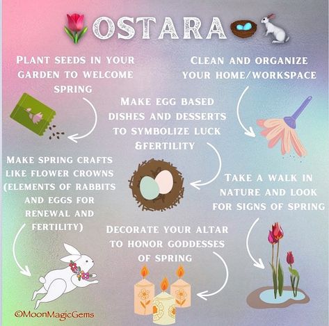 🌱🪺𝓞𝓼𝓽𝓪𝓻𝓪🌸🐇 . Blessed Ostara my beautiful friends! 🥰🌸💗In honor of the Spring Equinox today, I wanted to share this sweet little graphic I made for Ostara along with some ideas of how you can celebrate the return of Spring 🥰🌸🪺🐇🌱🌷🌞☔️ This is a wonderful time to meditate on your intentions and what you want to manifest for the rest of the year! Some of the ways you can celebrate Ostara are: •Planting seeds in your garden: Remember when we planned out our garden during Imbolc? Now is the time to ... Blessed Ostara, Celebrate Ostara, Witchcraft For Beginners, Spring Equinox, Now Is The Time, Moon Magic, Remember When, Planting Seeds, Some Ideas