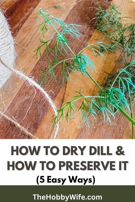 how to dry dill. Preserve Dill, Freezing Fresh Herbs, Preserve Fresh Herbs, Drying Fresh Herbs, Fresh Herb Recipes, Quotes Wellness, Dill Potatoes, Dill Recipes, Freezing Herbs