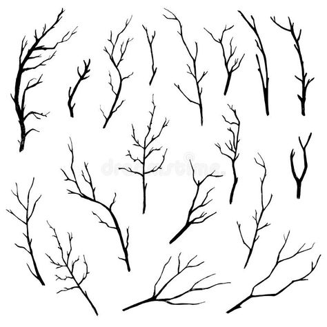 Sketch Wood Twigs, Broken Tree Branches Vector Set Stock Vector - Illustration of limb, environment: 90013381 Stick N Poke Ideas, Environment Drawing, Studio Drawing, Drawing Details, Pen Sketches, Branch Tattoo, Branch Vector, Spider Tattoo, Tree Sketches