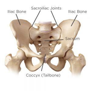 How To Treat My SI Joint Pain - Surgery, Exercises, & Injections Joints Pain Remedy, Middle Back Pain, Back Pain Remedies, Joints Pain Relief, Back Pain Exercises, Hip Pain, Back Pain Relief, Back Pain, Pain Relief