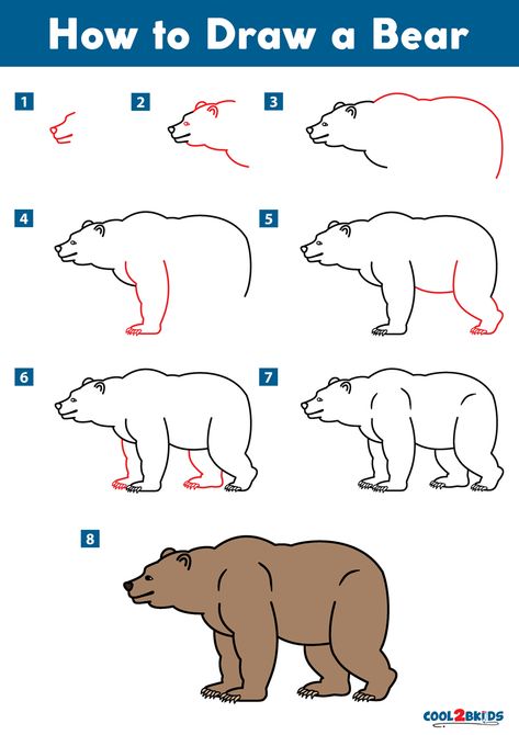 Drawing A Bear, How To Draw A Bear, How To Draw Bear, Drawing Bears, Bears Drawing, Grizzly Bear Drawing, Bear Videos, Draw A Bear, Bear Nose