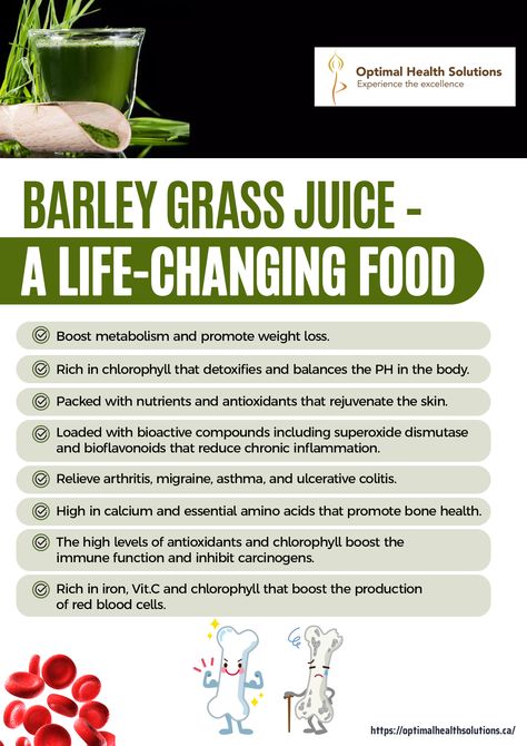 Barley Juice Powder Benefits, Barley Grass Powder Benefits, Barley Grass Benefits, Grow Foods, 40s Women, Barley Grass Powder, Barley Benefits, Green Herbs, Barley Grass