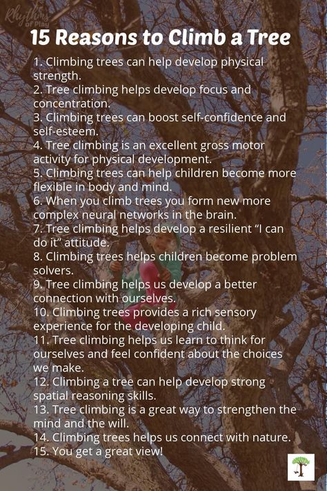 Benefits Of Risky Play, Risky Play Activities For Preschoolers, How To Climb A Tree, Climbing Tips, Risky Play, Forest Classroom, Forest Kindergarten, Climb A Tree, Outdoor Learning Activities