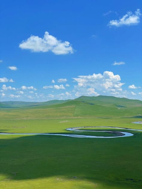 Hulunbuir Grassland, Mongolia Grassland, Grassland Landscape, Rock Plants, Perspective Drawing Architecture, Beautiful Roads, Grass Field, Fun Places To Go, Inner Mongolia