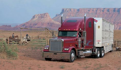 Bull Hauler, Freightliner Trucks, Big Car, Big Rig Trucks, Large Cars, Garbage Truck, Heavy Truck, Big Rig, Truck And Trailer