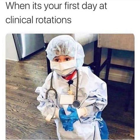 Memes Medical Students, Med School Memes, Med Student Humor, Healthcare Memes, Medical Student Humor, Medical School Humor, Dentistry Humor, Nursing Student Humor, Medical Memes